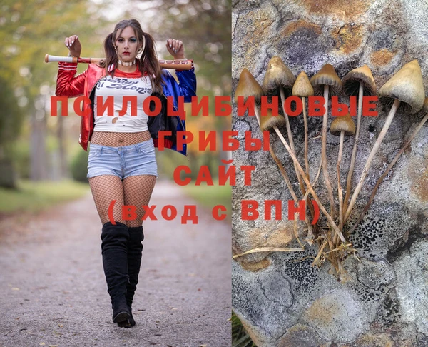 spice Нея