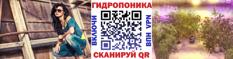 Бошки Шишки тримм  сайты даркнета состав  Холмск  закладки 